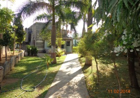  A pathway inside campus